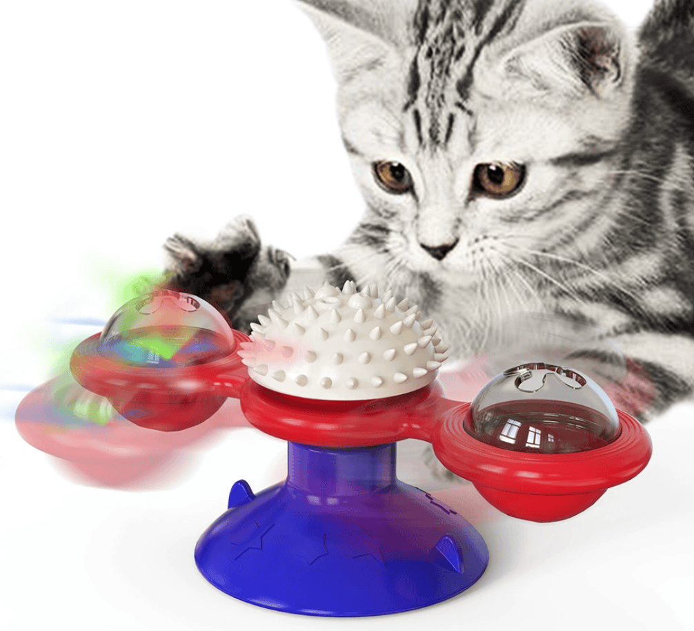 Cat Entertainment Set- Interactive Rotating Disk, Feather Teasers ...